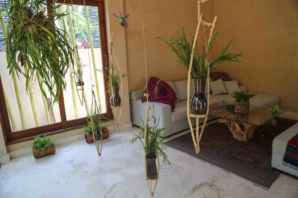 מלון טולום Casa Xelva 0*,